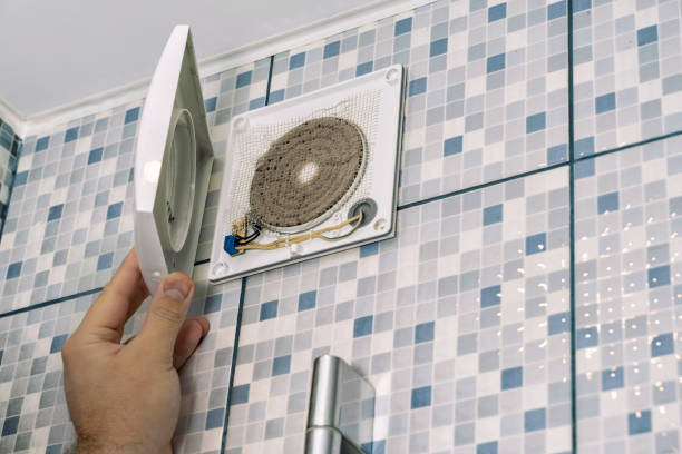 Best Air Duct Sanitizing Services  in Knob Noster, MO