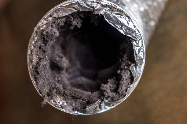 Best Air Duct Cleaning Cost  in Knob Noster, MO