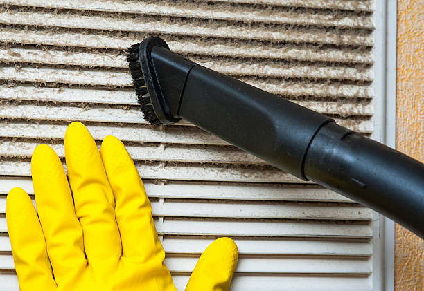 Best Local Air Duct Cleaning Services  in Knob Noster, MO