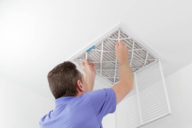 Best Affordable HVAC Duct Cleaning  in Knob Noster, MO